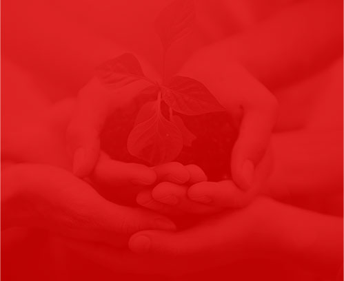 網(wǎng)絡(luò)公司狐靈科技