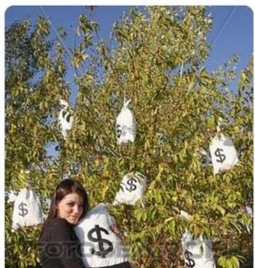 驚呆了全球首富離婚