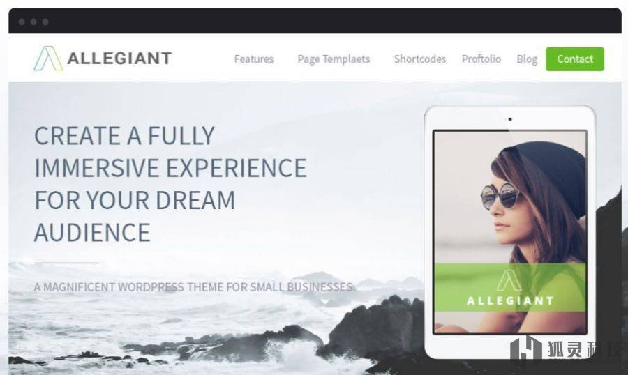 Allegiant主題 Allegiant主題